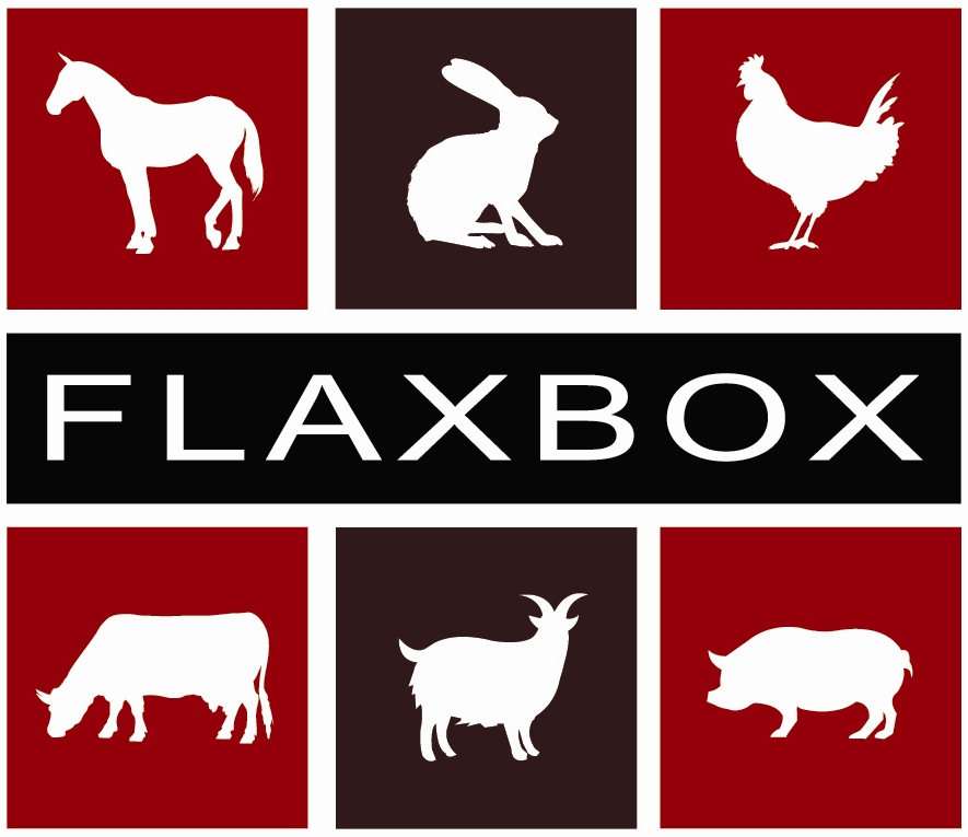 flaxbox_logo bijgesneden